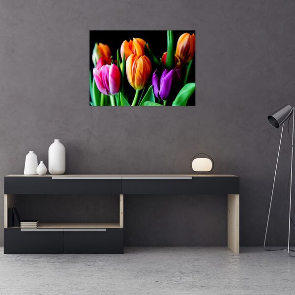Slika tulipana na crnoj pozadini (70x50 cm)