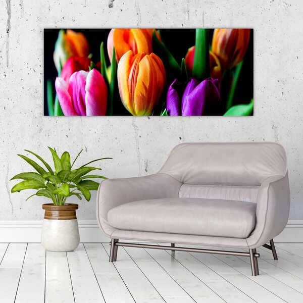 Slika tulipana na crnoj pozadini (120x50 cm)