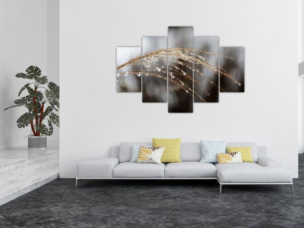 Slika kapljica na biljci (150x105 cm)