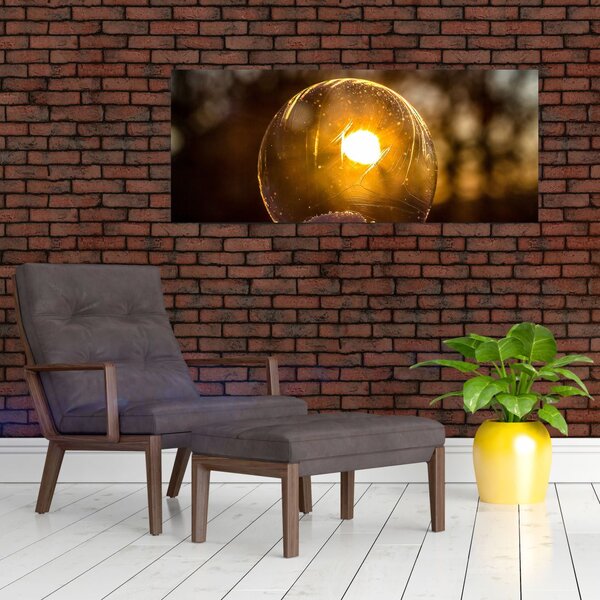 Slika - Prozirni mjehurić (120x50 cm)