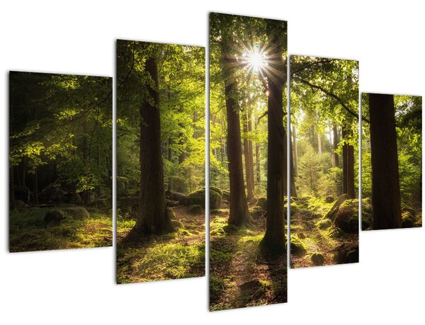 Slika šume snova (150x105 cm)