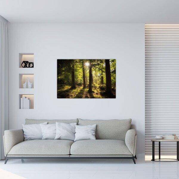 Slika šume snova (90x60 cm)