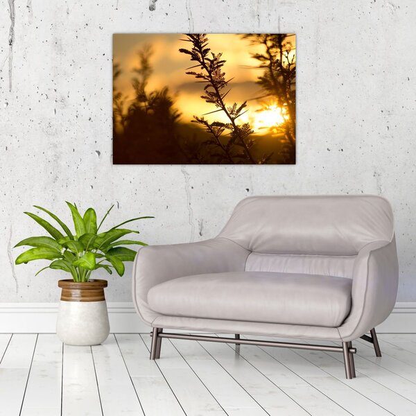 Slika - Zalazak sunca iza stabala (70x50 cm)
