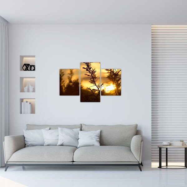 Slika - Zalazak sunca iza stabala (90x60 cm)