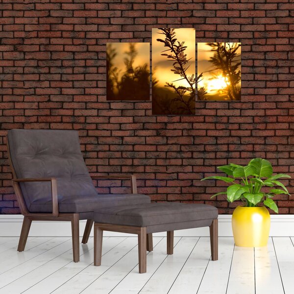 Slika - Zalazak sunca iza stabala (90x60 cm)