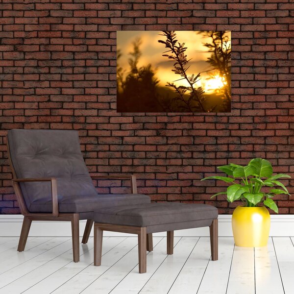 Slika - Zalazak sunca iza stabala (70x50 cm)