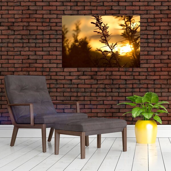 Slika - Zalazak sunca iza stabala (90x60 cm)
