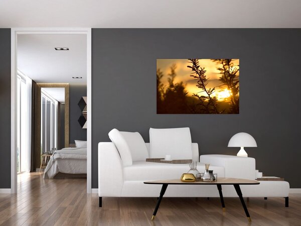 Slika - Zalazak sunca iza stabala (90x60 cm)
