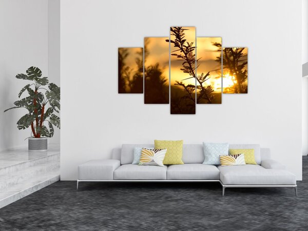 Slika - Zalazak sunca iza stabala (150x105 cm)