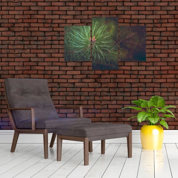 Slika - Detalj stabla bora (90x60 cm)