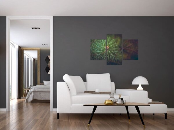 Slika - Detalj stabla bora (90x60 cm)