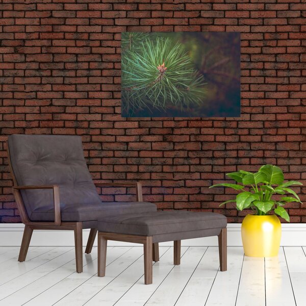Slika - Detalj stabla bora (70x50 cm)
