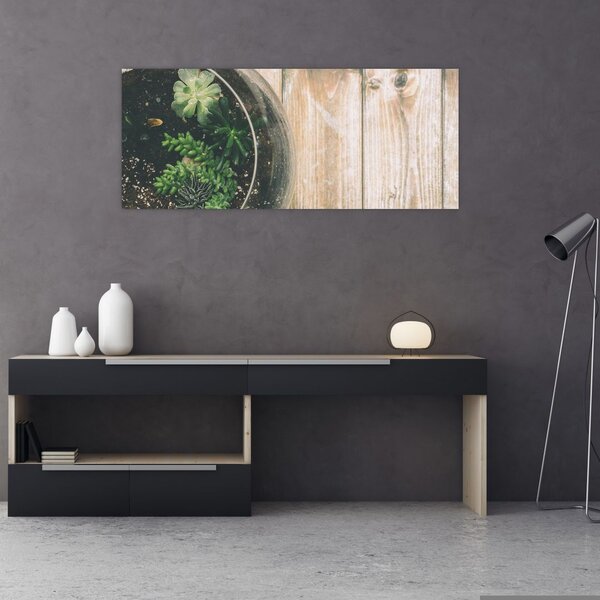 Slika sukulenata u staklu (120x50 cm)