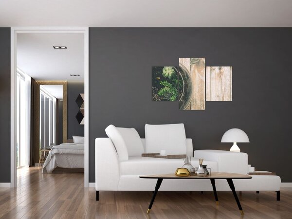 Slika sukulenata u staklu (90x60 cm)