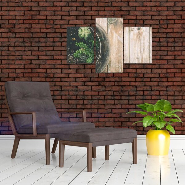Slika sukulenata u staklu (90x60 cm)