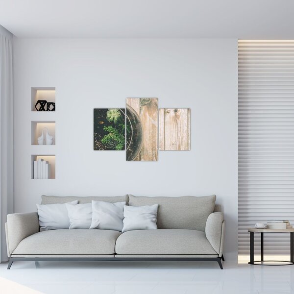 Slika sukulenata u staklu (90x60 cm)