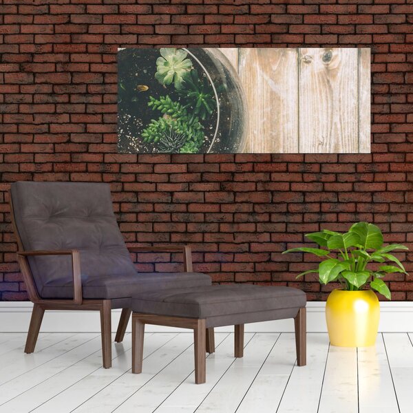 Slika sukulenata u staklu (120x50 cm)