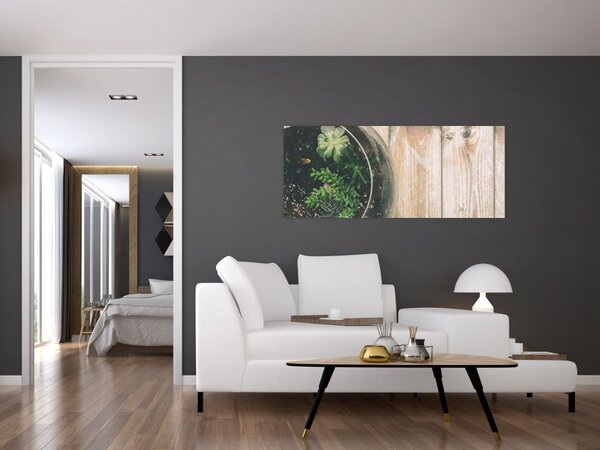 Slika sukulenata u staklu (120x50 cm)