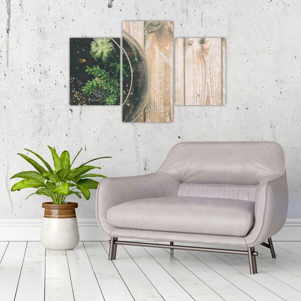 Slika sukulenata u staklu (90x60 cm)