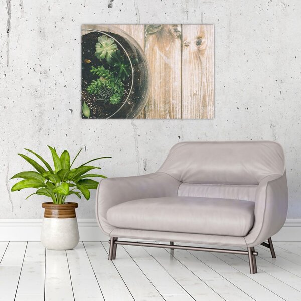 Slika sukulenata u staklu (70x50 cm)