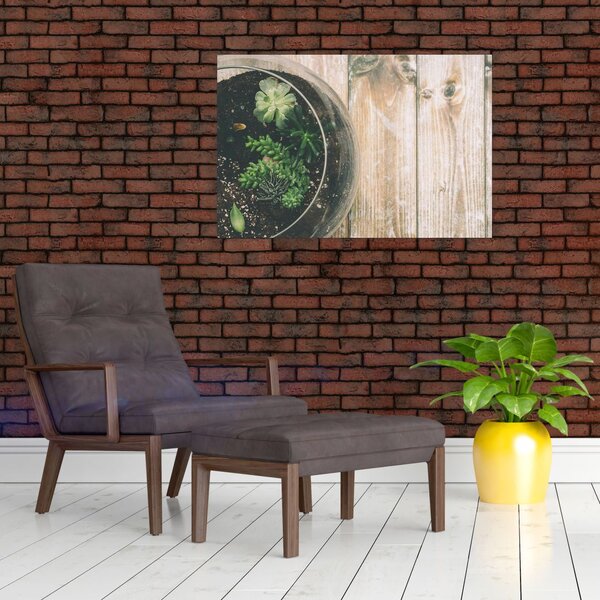 Slika sukulenata u staklu (90x60 cm)