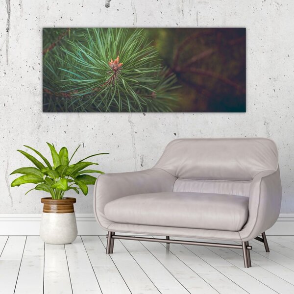 Slika - Detalj stabla bora (120x50 cm)