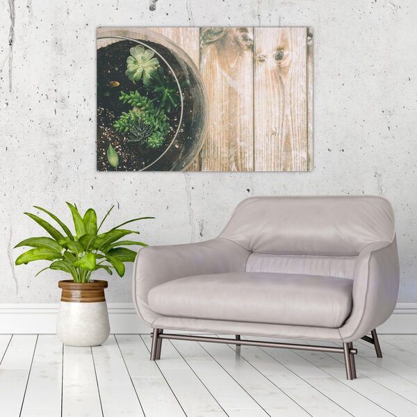 Slika sukulenata u staklu (90x60 cm)