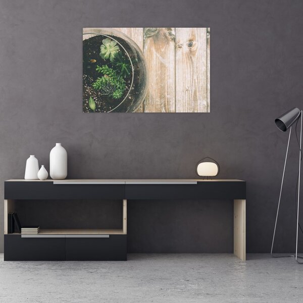 Slika sukulenata u staklu (90x60 cm)