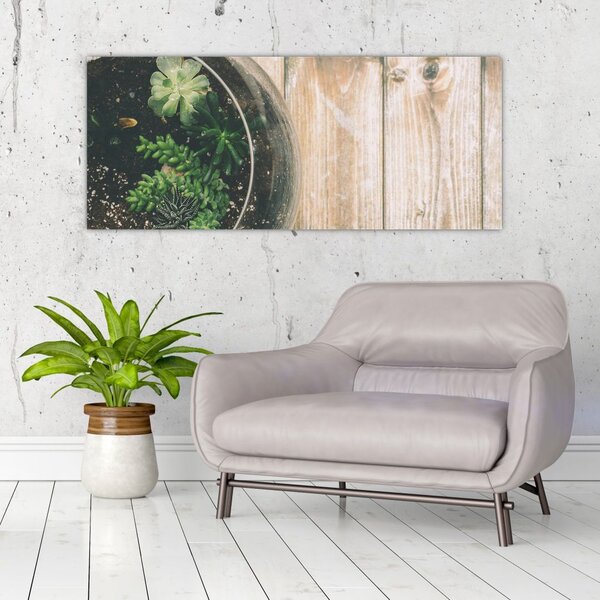 Slika sukulenata u staklu (120x50 cm)