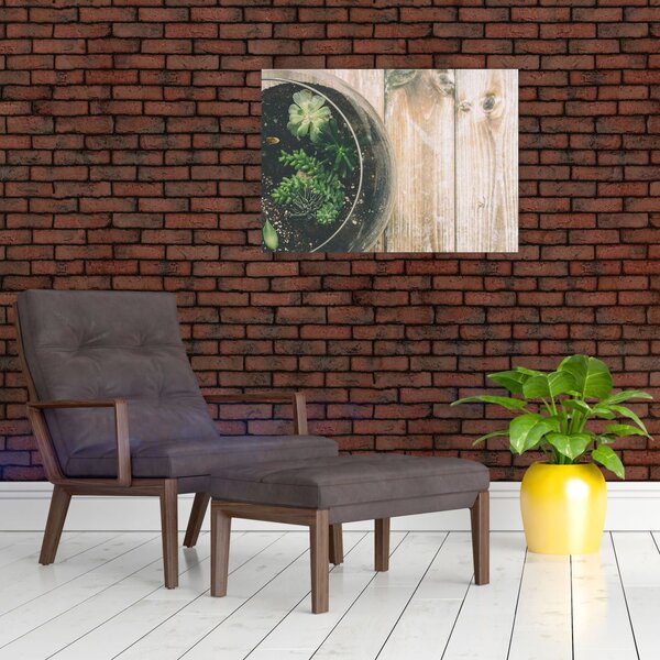 Slika sukulenata u staklu (70x50 cm)
