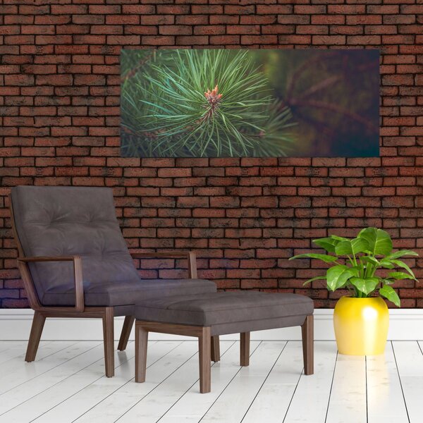 Slika - Detalj stabla bora (120x50 cm)