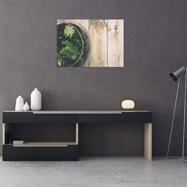 Slika sukulenata u staklu (70x50 cm)