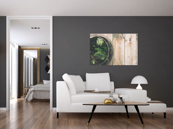 Slika sukulenata u staklu (90x60 cm)