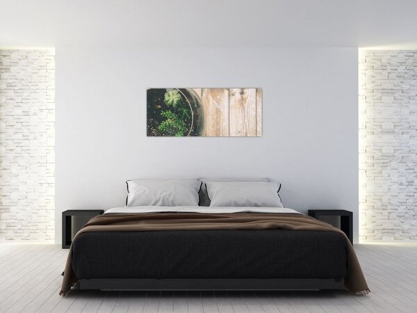 Slika sukulenata u staklu (120x50 cm)
