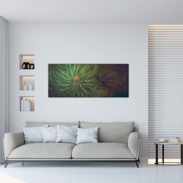 Slika - Detalj stabla bora (120x50 cm)