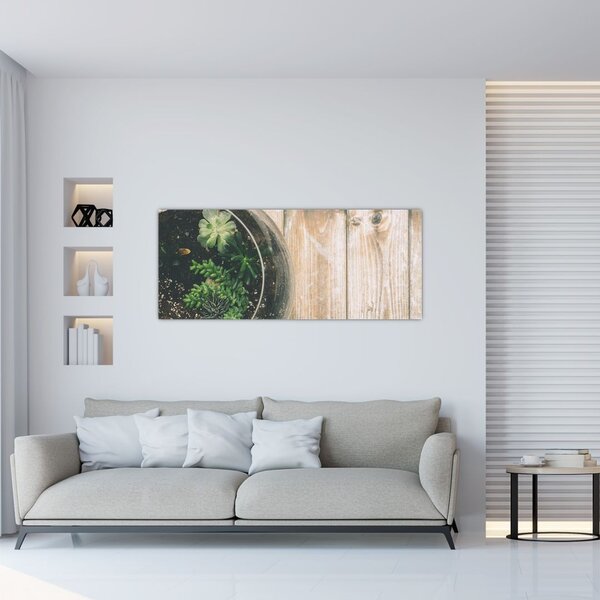 Slika sukulenata u staklu (120x50 cm)