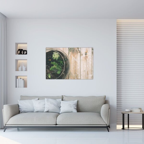 Slika sukulenata u staklu (90x60 cm)