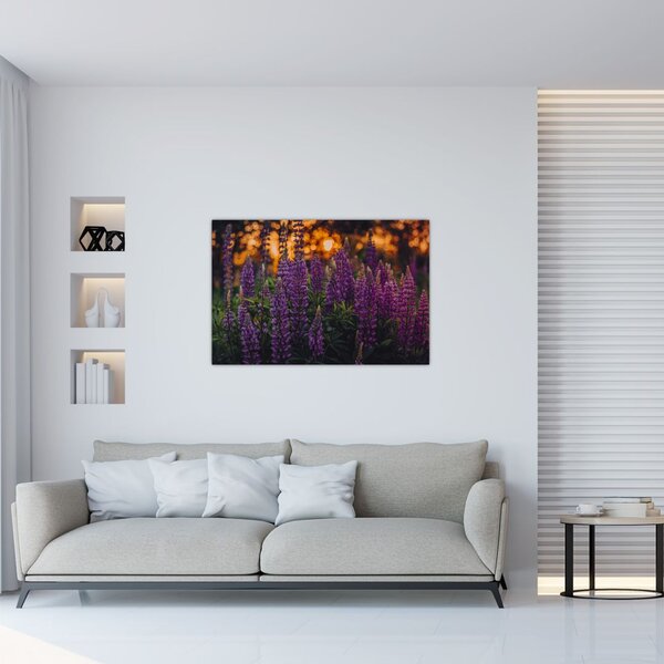 Slika cvjetova lupine (90x60 cm)