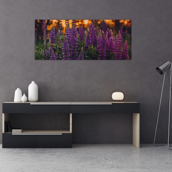 Slika cvjetova lupine (120x50 cm)