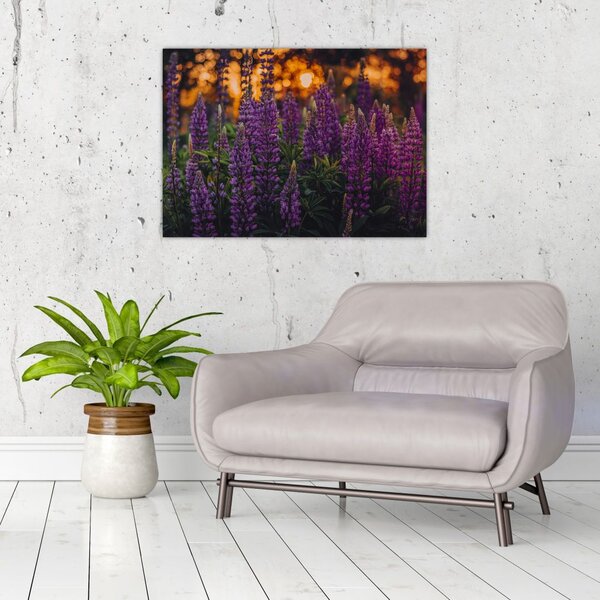 Slika cvjetova lupine (70x50 cm)