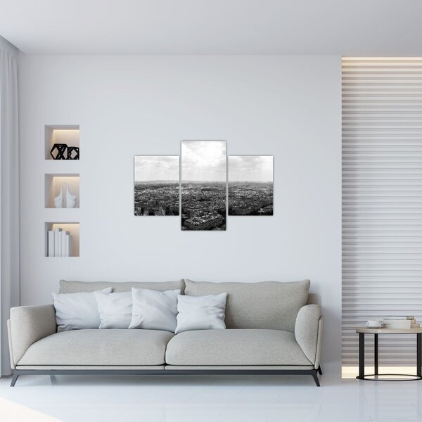 Slika - krovovi kuća u Parizu (90x60 cm)