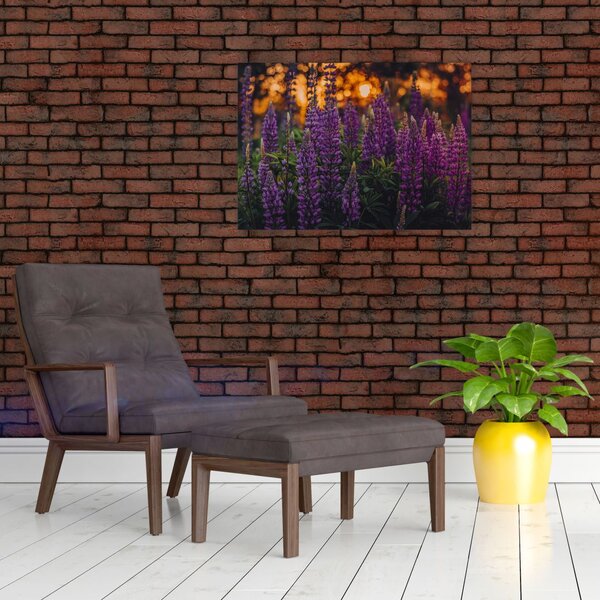 Slika cvjetova lupine (70x50 cm)