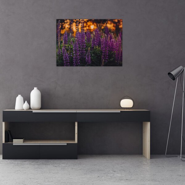 Slika cvjetova lupine (70x50 cm)