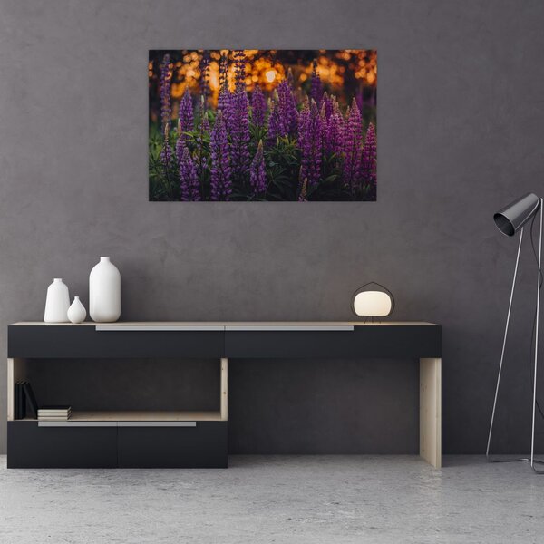Slika cvjetova lupine (90x60 cm)