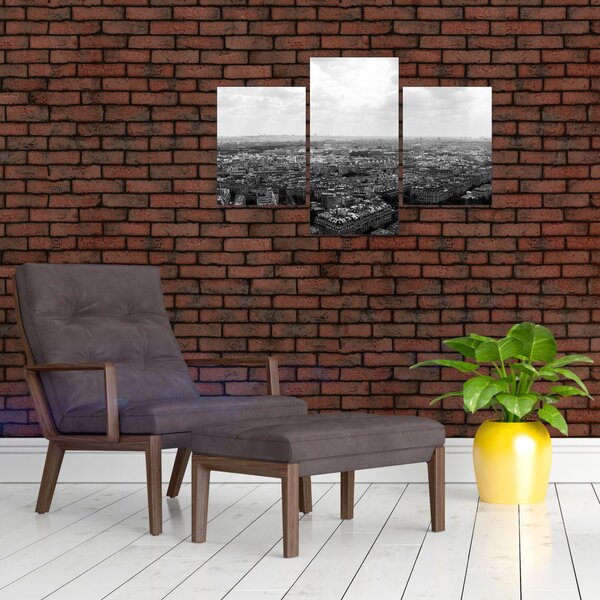 Slika - krovovi kuća u Parizu (90x60 cm)
