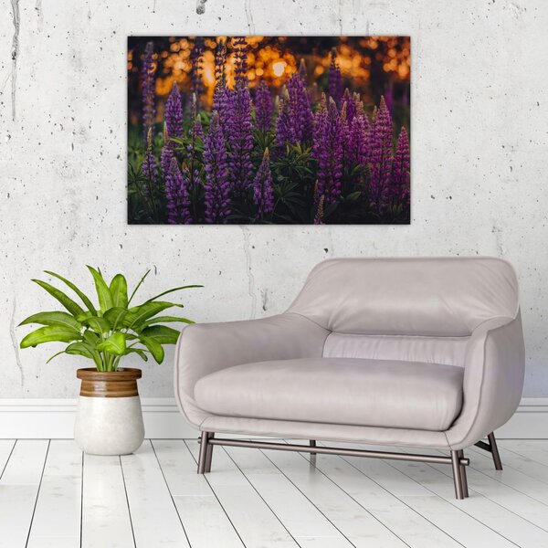 Slika cvjetova lupine (90x60 cm)