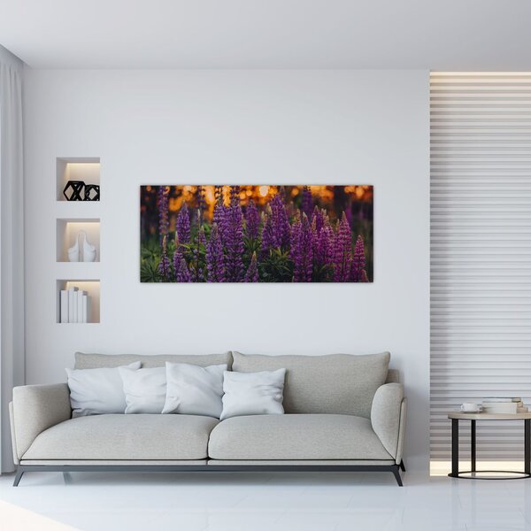 Slika cvjetova lupine (120x50 cm)