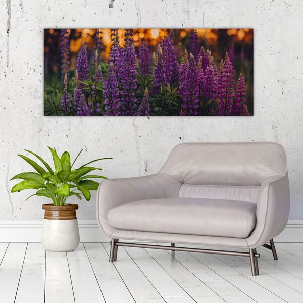 Slika cvjetova lupine (120x50 cm)