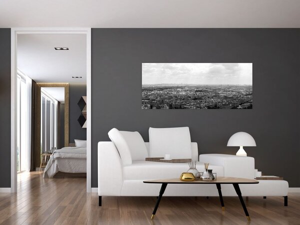 Slika - krovovi kuća u Parizu (120x50 cm)