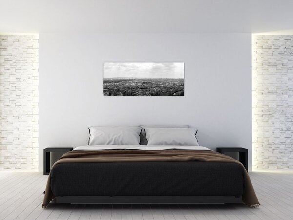 Slika - krovovi kuća u Parizu (120x50 cm)